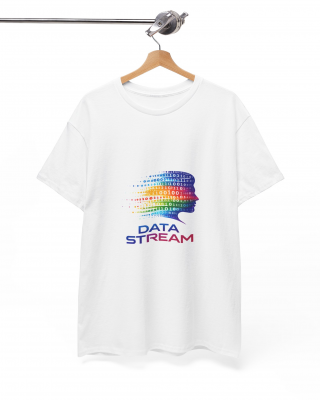 Data Stream Silhouette