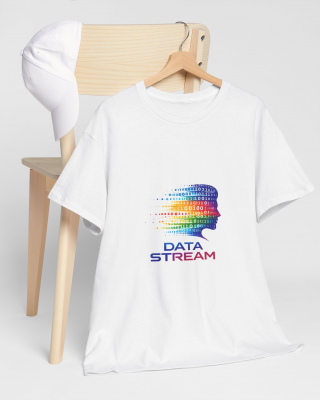 Data Stream Silhouette